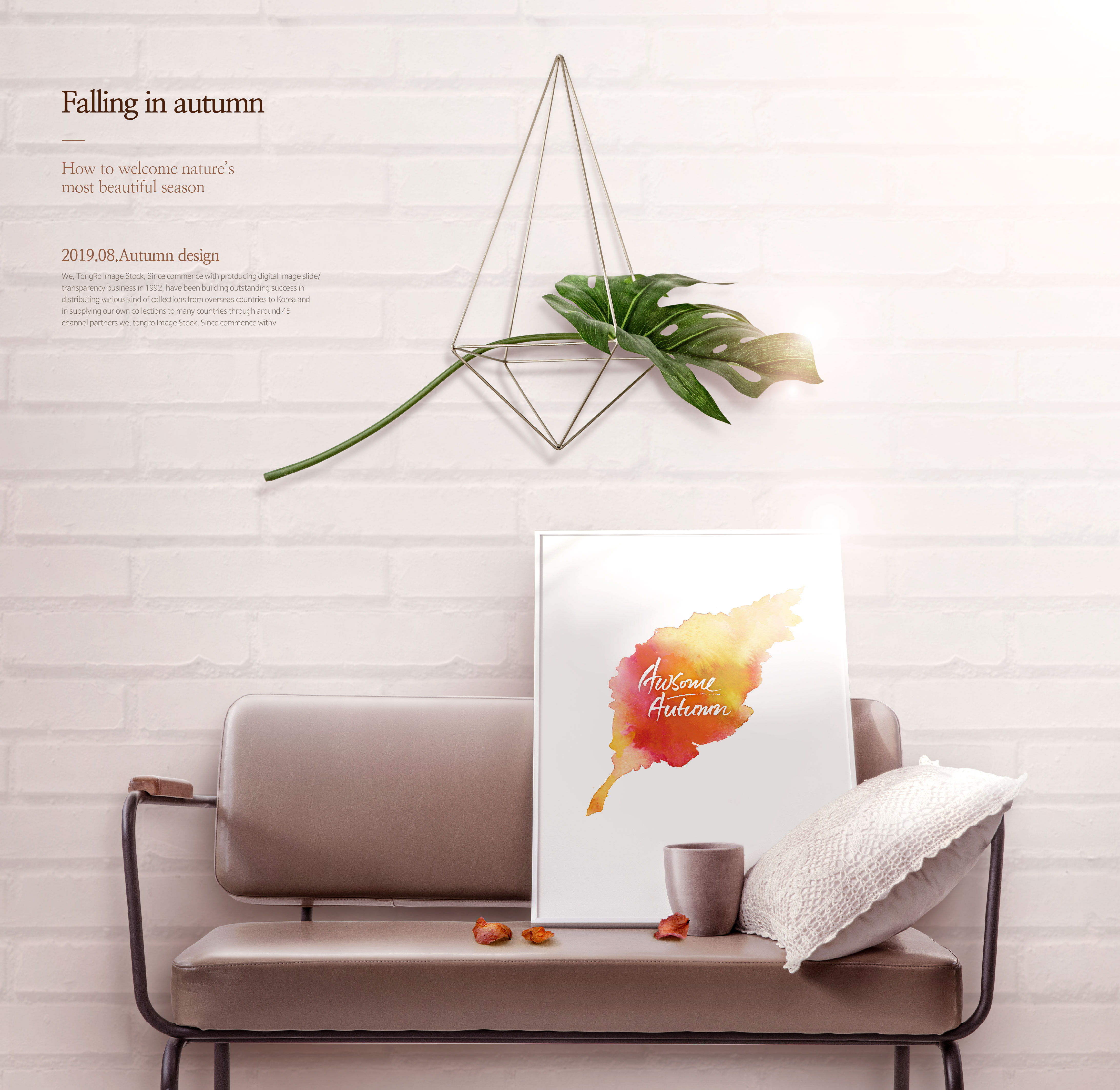 唯美秋天季节主题海报图片psd素材插图(1)