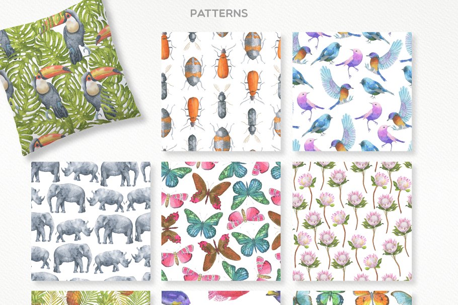 冒险之旅水彩素材合集（飞禽走兽、昆虫元素、纹理&额外的字体） Safari Watercolor Collection Pro插图(3)