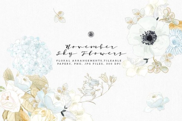 质朴素雅手绘水彩花卉剪贴画 November Sky Flowers