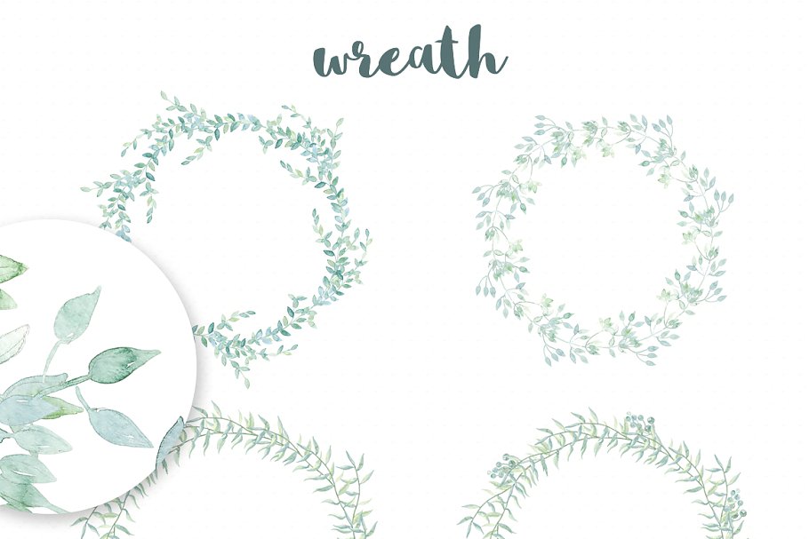 野菜水彩剪贴画 Watercolor Wild Herbs插图(2)