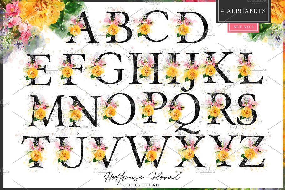 数码绘制温室花卉设计素材包(独立花卉元素&花式字母数字) Hothouse Floral Design ToolKit插图(12)