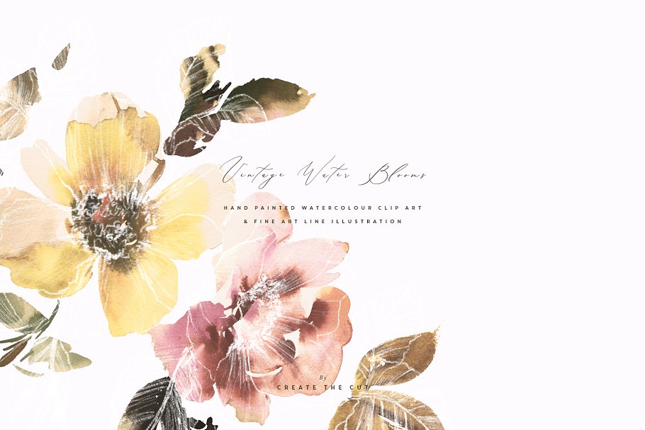 柔和优雅的水墨花朵矢量插画系列 Vintage Water Blooms插图(1)