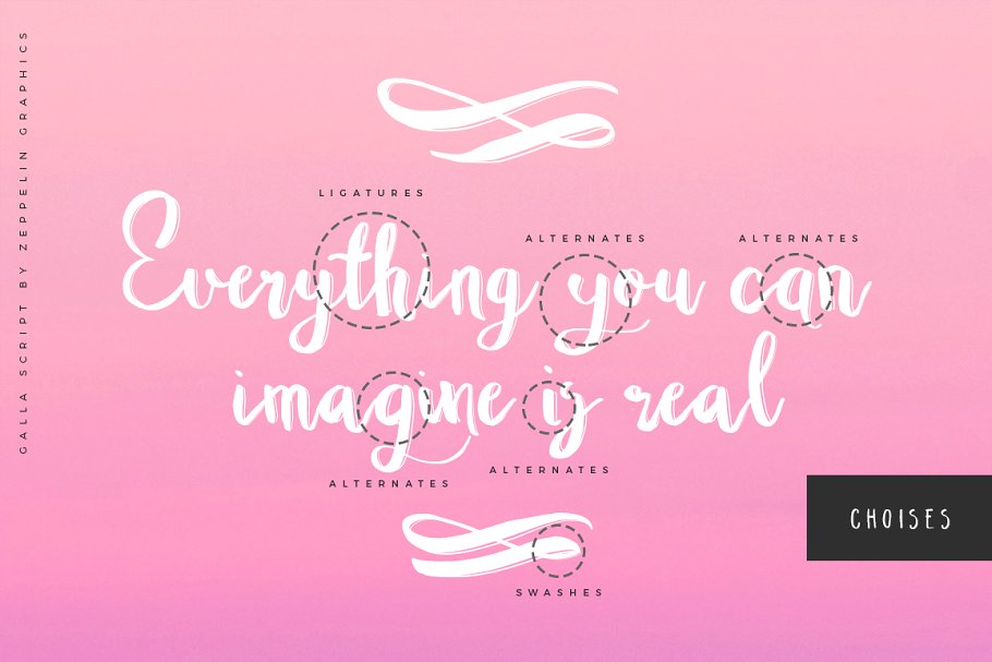 13款手写英文字体合集&Logo模板、矢量插画 Wonderland Fonts Pack & Branding Kit插图(101)