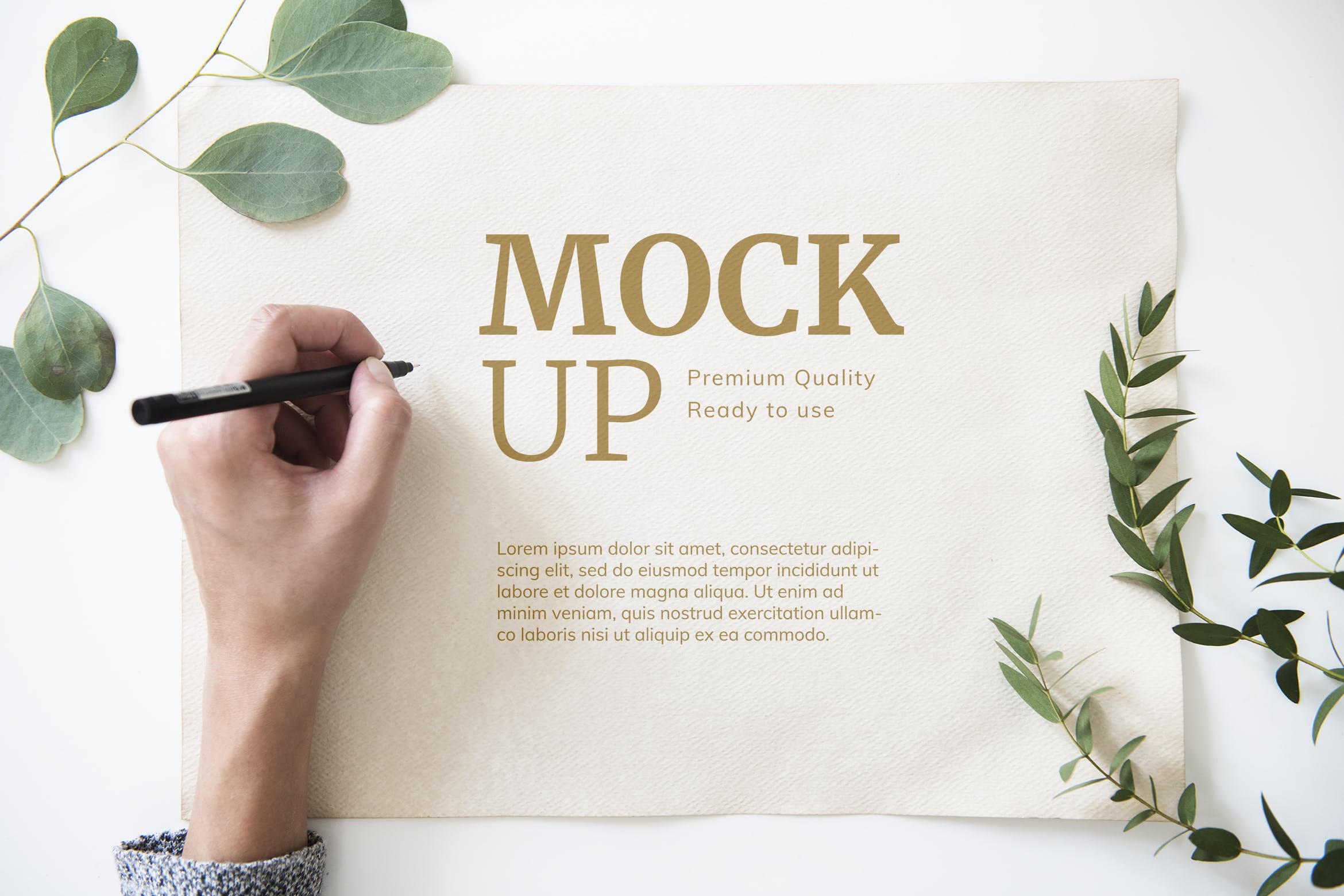 手绘插画/书法预览样机模板 Paper mockup插图