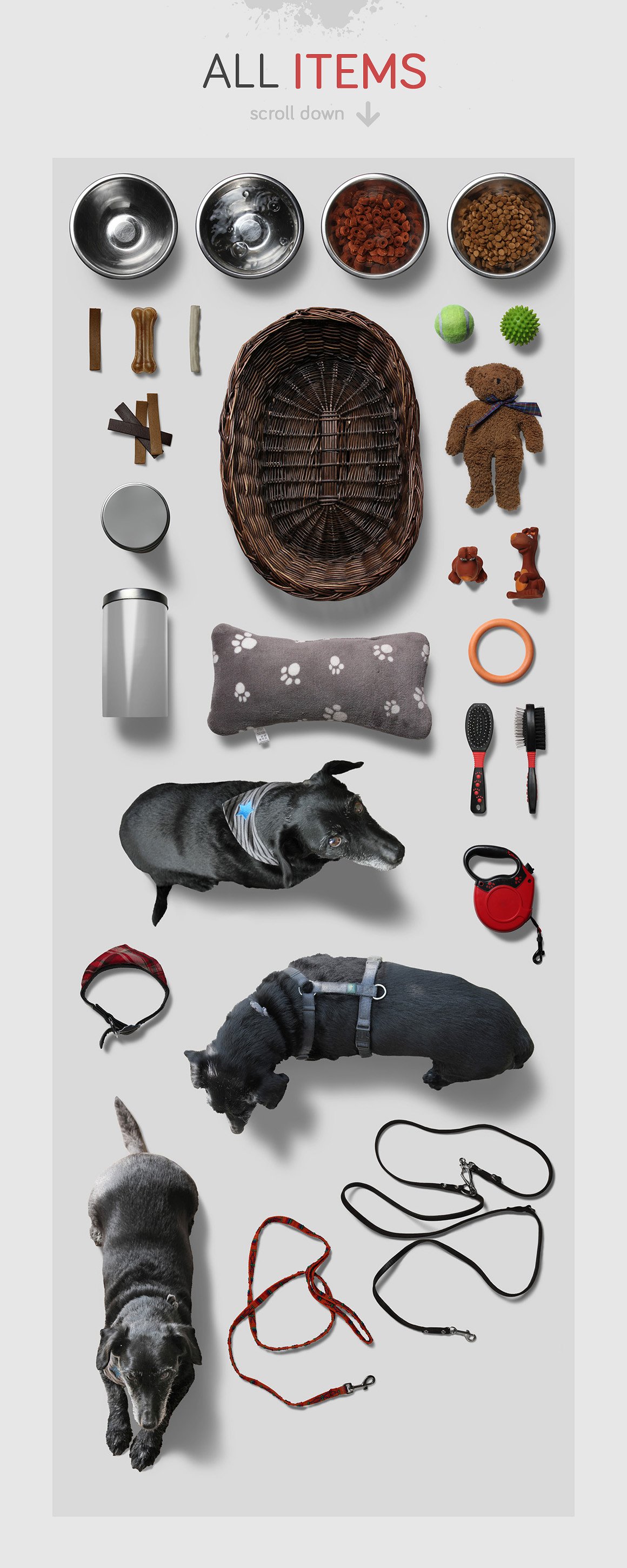 高品质的宠物场景样机下载[psd]插图(2)