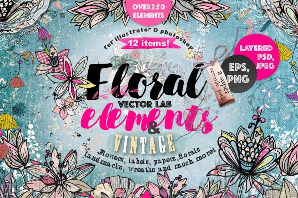 极力推荐：超级矢量花卉素材库 VECTOR LAB "FLORAl&amp;VINTAGE"