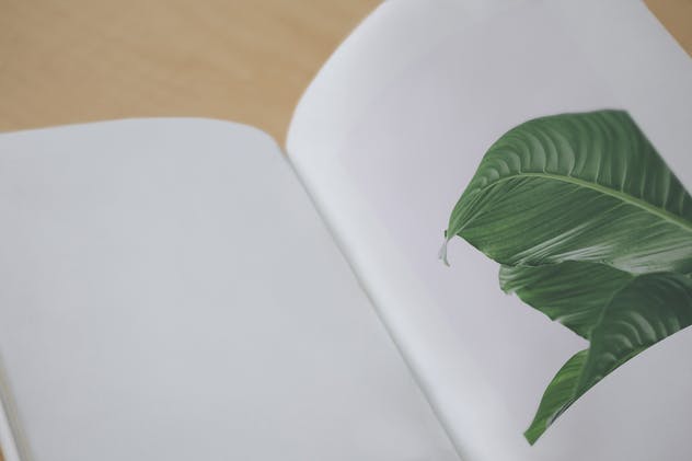 宣传册/小册子/目录设计预览样机素材库精选模板 Brochure / Booklet / Catalog Mock-Up PSD插图(10)