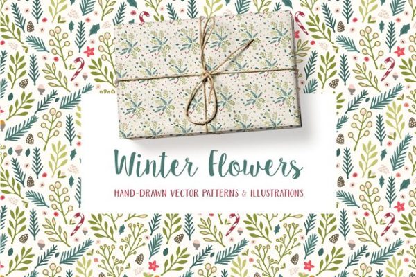 冬天圣诞节节日主题花卉图案纹理 Winter Flowers Christmas Patterns