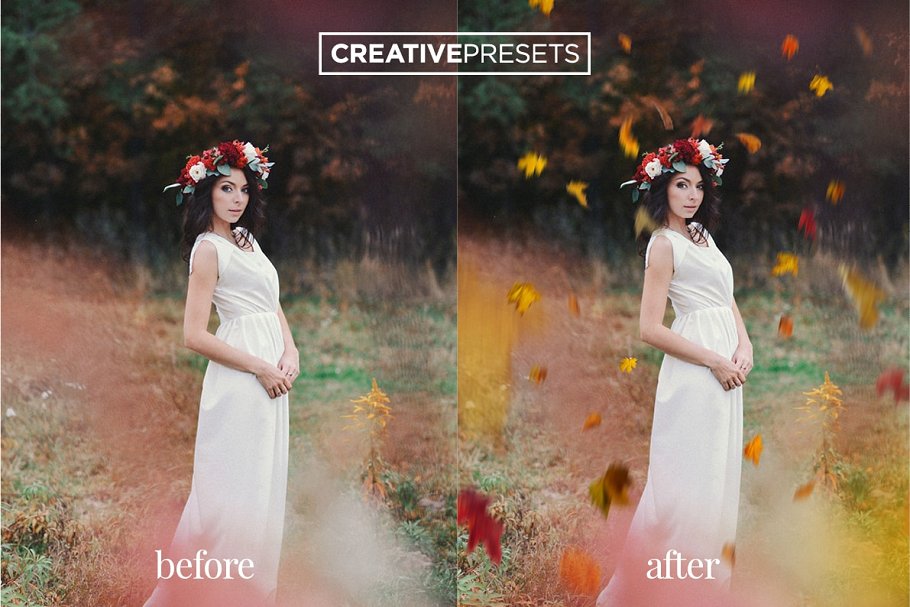 秋季枫叶落叶叠层背景 Falling Leaves Overlays插图(2)