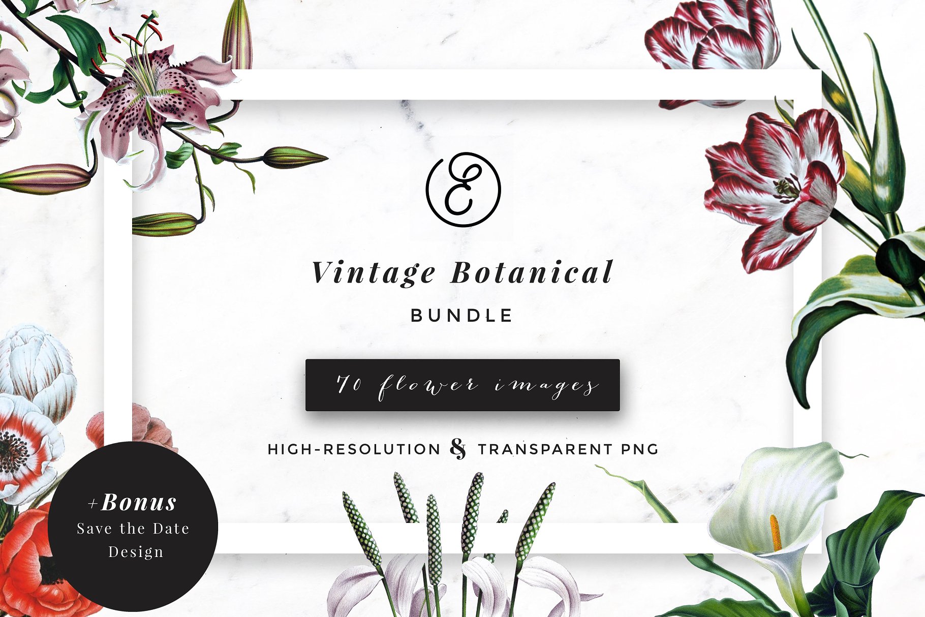 复古植物花卉剪贴画合集 Vintage Botanical Flower Bundle插图