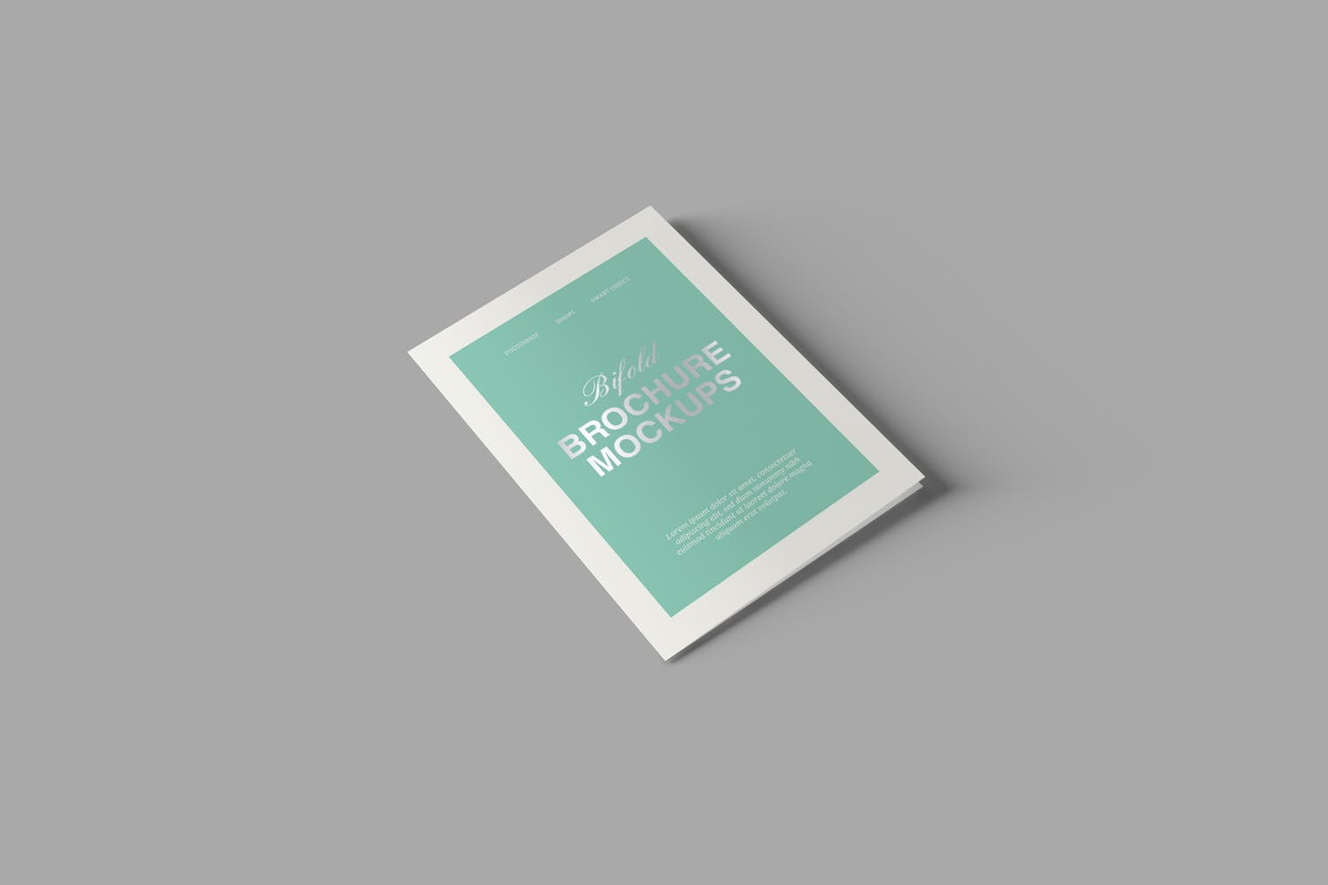 A5双折页产品传单设计图样机 A5 Bifold Brochure Mockups插图(4)