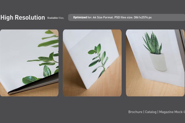 宣传册/小册子/目录设计预览样机素材库精选模板 Brochure / Booklet / Catalog Mock-Up PSD插图(5)