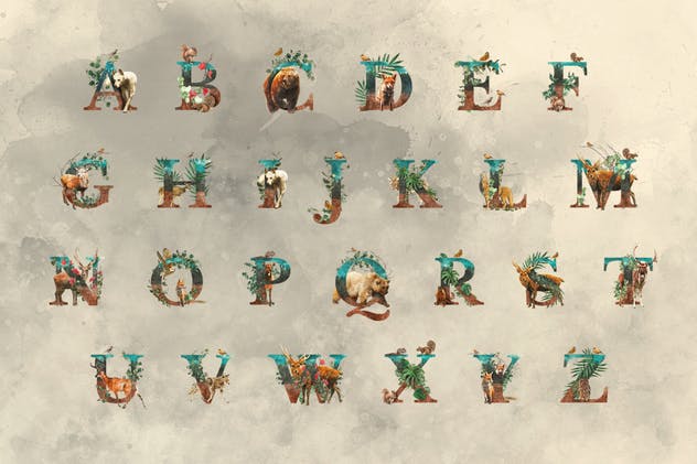 奇幻森林元素手绘插画元素合集 Forest Illustrations Graphics Kit插图(12)