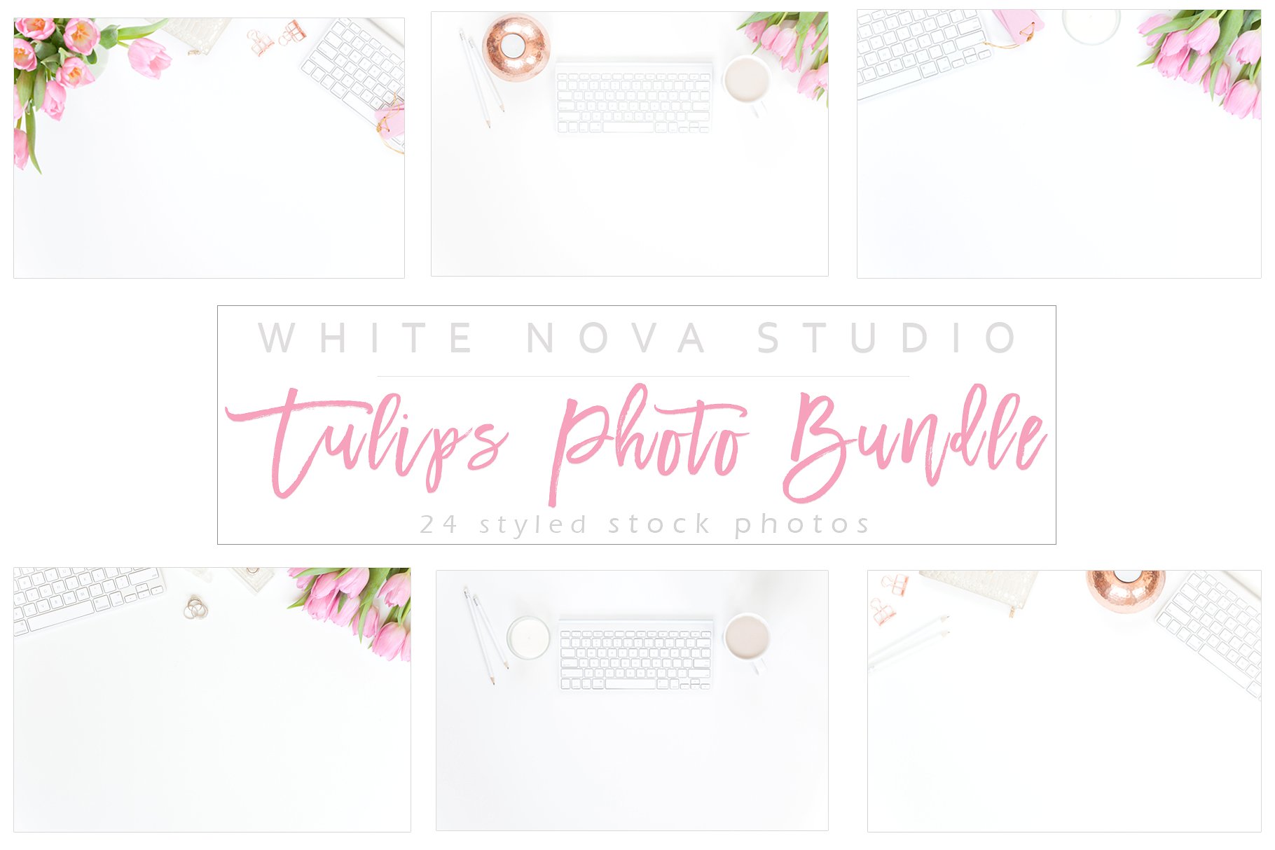 高清郁金香实物场景样机模板 Tulips Photo Bundle插图(6)