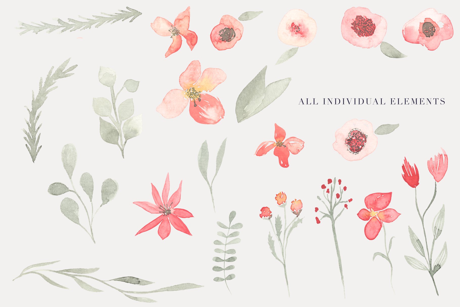 21款独特手绘花卉和树叶图形 Watercolor Floral Clipart – Tango插图(1)