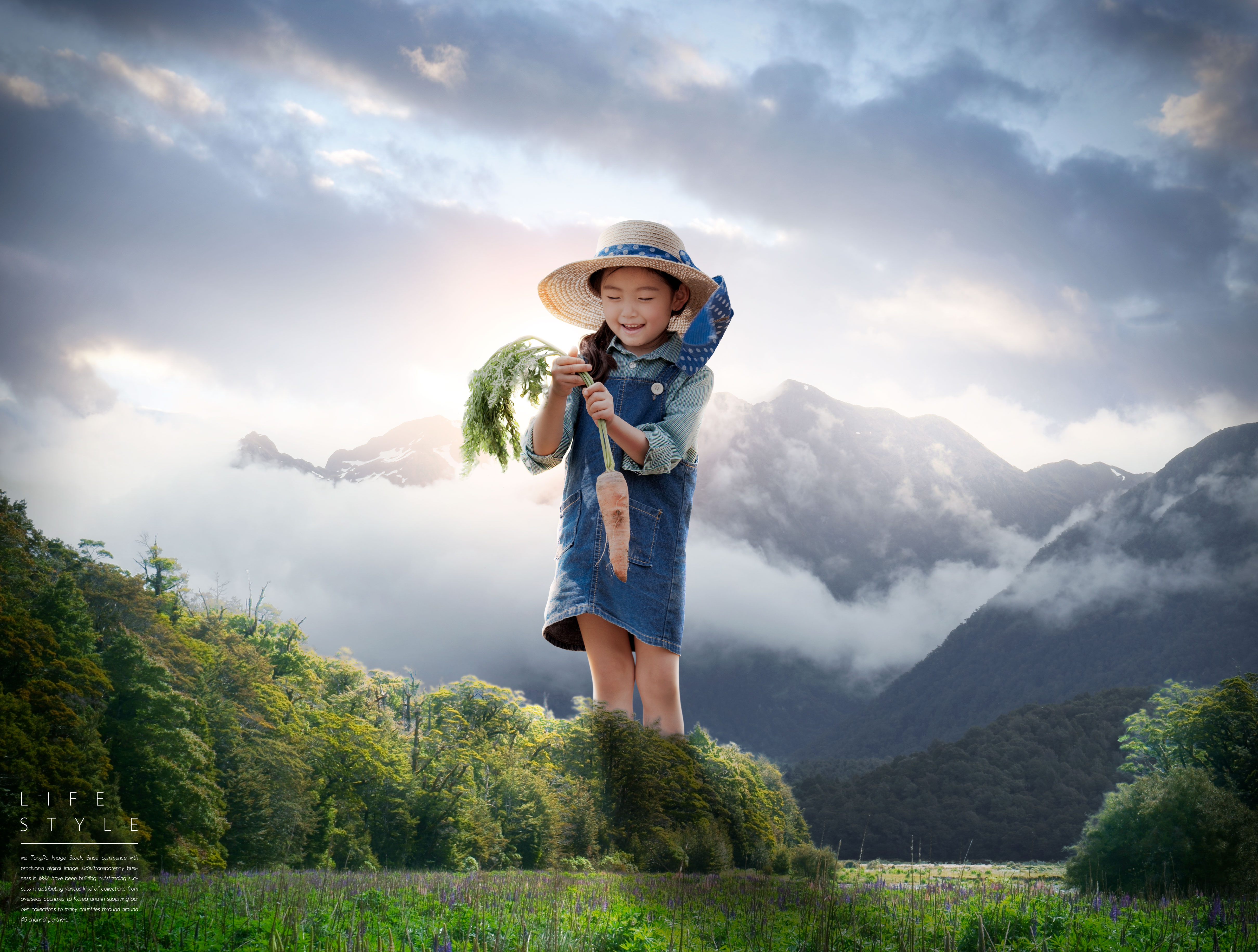 悠闲自在的农场生活主题海报设计套装V.2插图