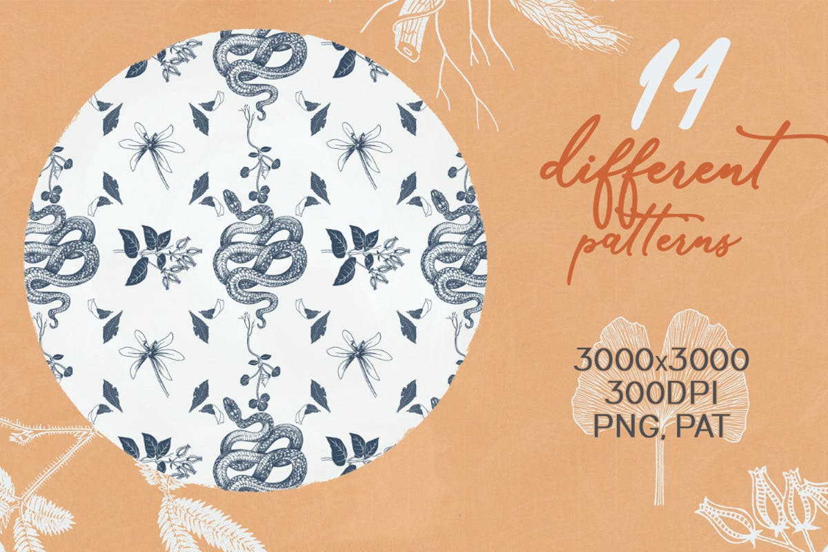 植物学与蛇自然主题无缝图案背景素材 Botany And Snakes Natural Patterns插图(1)
