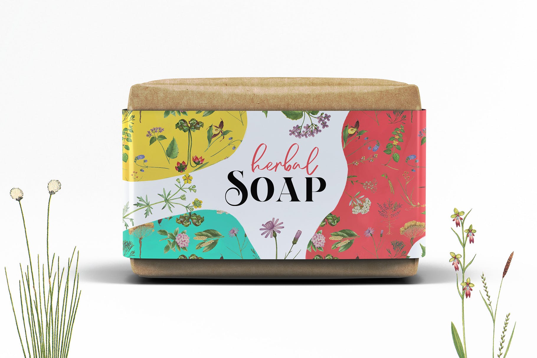 8款复古植物手绘图案背景素材库精选 8 Vintage Botanical Patterns插图(1)