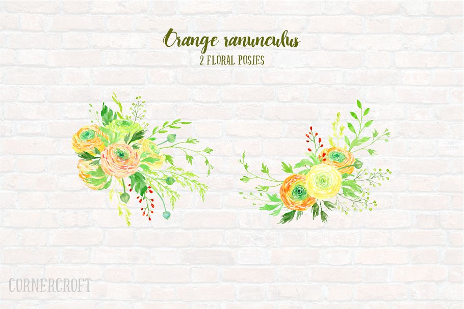橙色水彩毛茛花卉剪贴画素材集 Watercolor Clipart Orange Ranunculus插图(2)