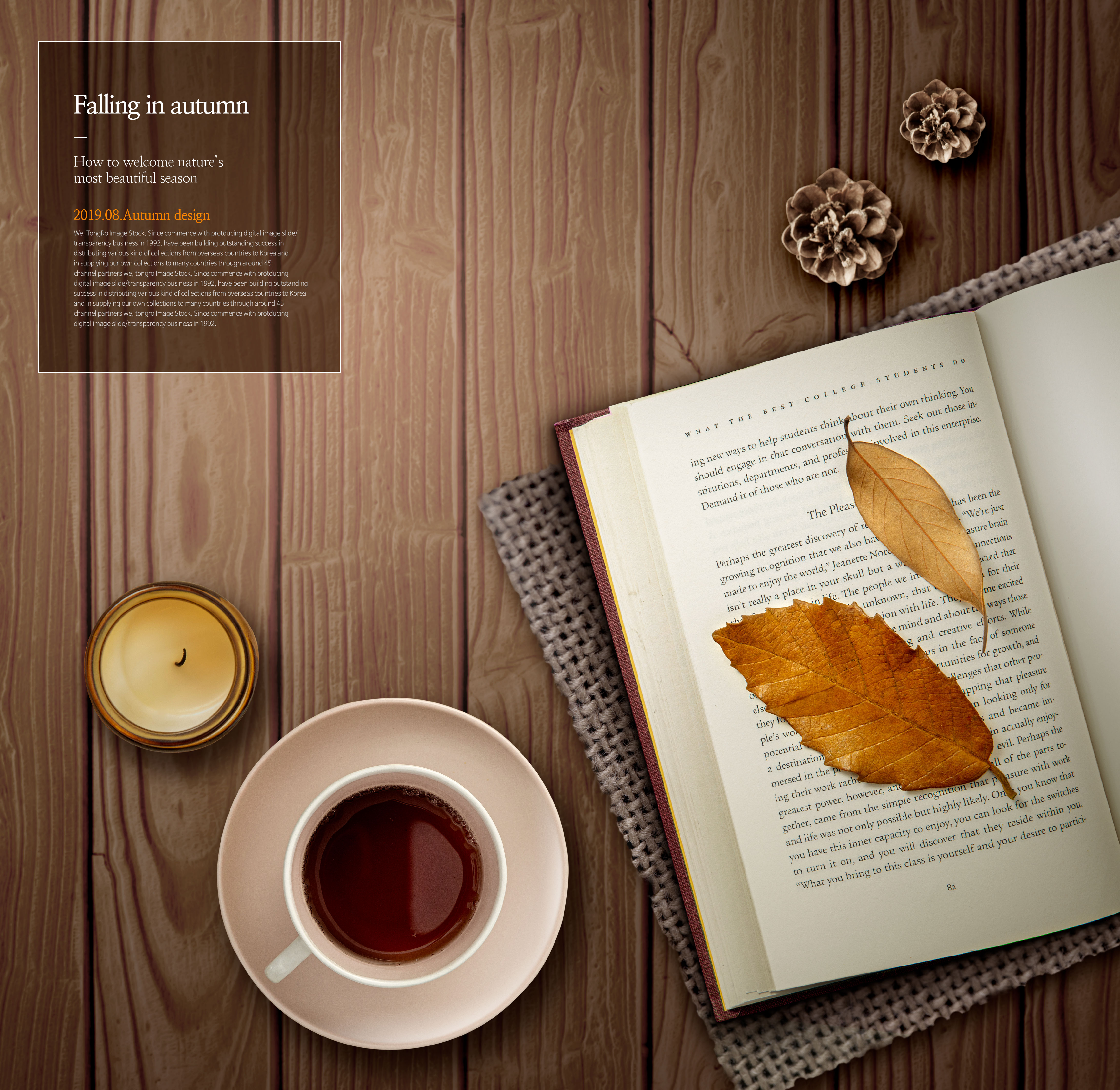 唯美秋天季节主题海报图片psd素材插图(2)