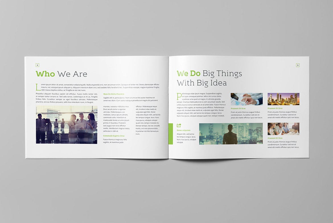 集团公司高档精装画册设计模板 Enrico Business Landscape Brochure插图(2)