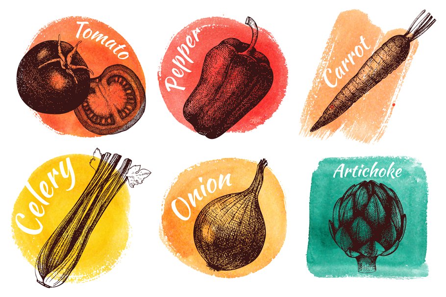 复古风格蔬菜插画素材 Vintage Vegetables Collection插图(1)