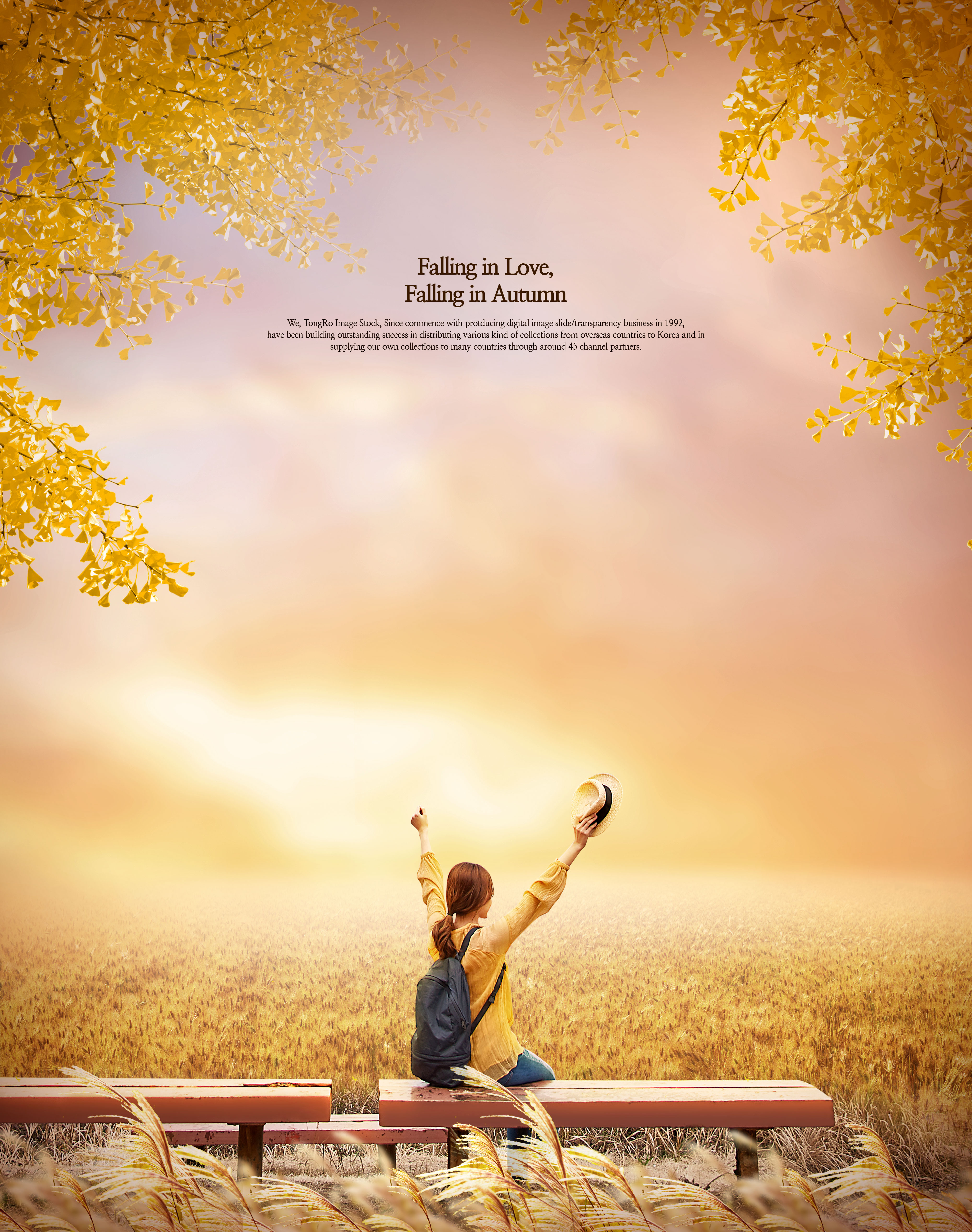 秋天浪漫爱情唯美背景海报图片素材[PSD]插图(3)