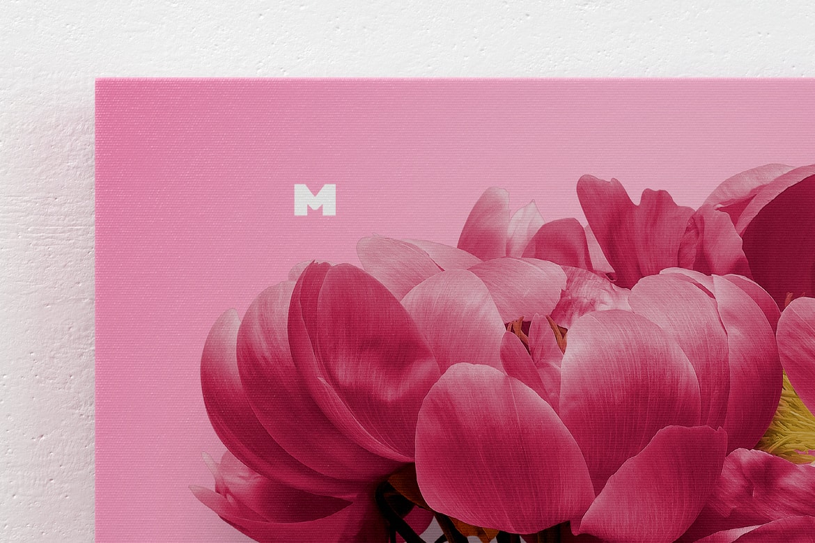 挂墙画布绘画作品＆照片展示正视图样机 2:3 Portrait Canvas Mockup Hanging on Wall, Front View插图(2)