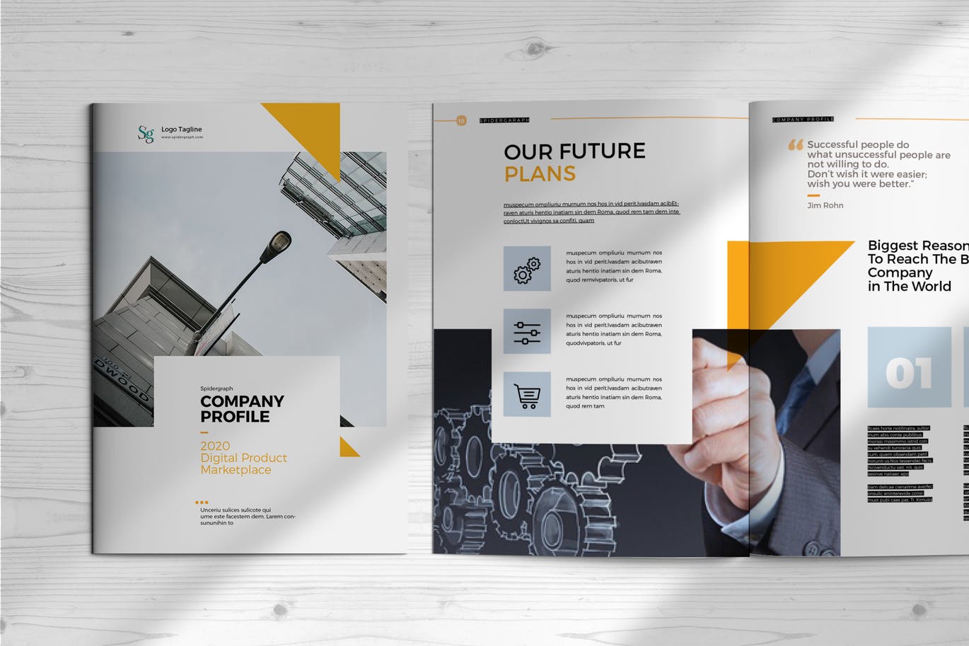 高逼格即拿即用企业介绍/宣传画册设计模板 Company Profile Template插图