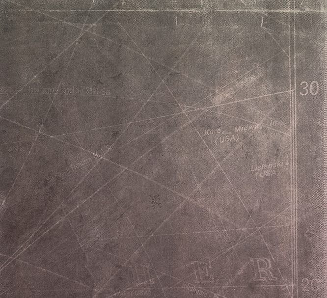 玫瑰金水彩海洋生物图案纹理 Murky Waters: Rose Gold & Watercolor插图(3)