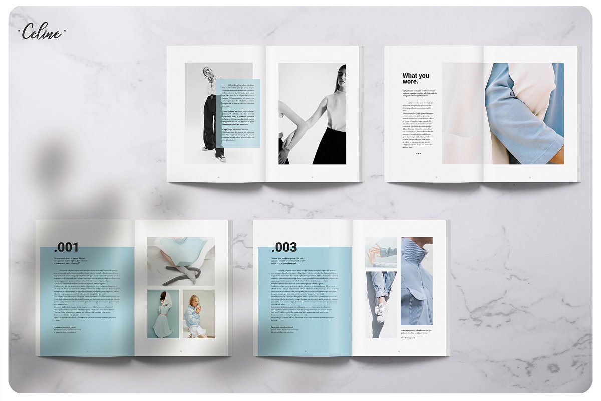 Flamingo时尚摄影杂志画册设计模板插图(3)