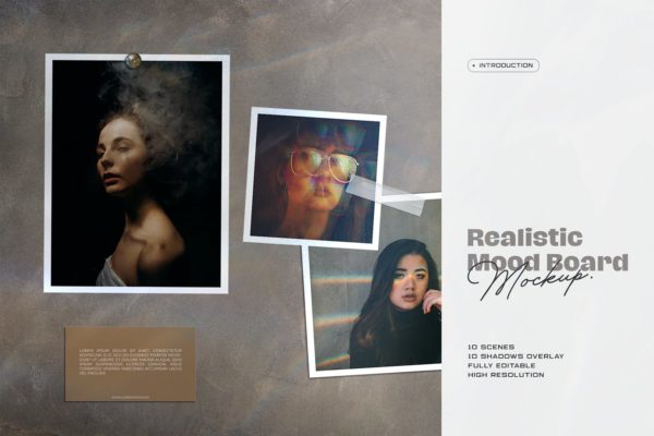 10种风格作品集情绪板展示样机素材库精选PSD模板 Moodboard Mockup Kit
