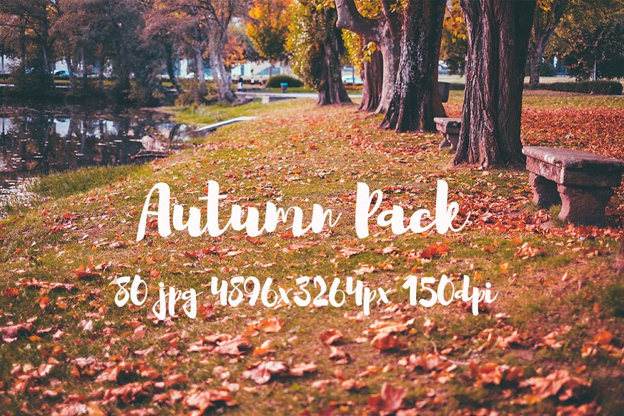 秋天主题高清风景照片素材 Autumn photo Pack插图(13)