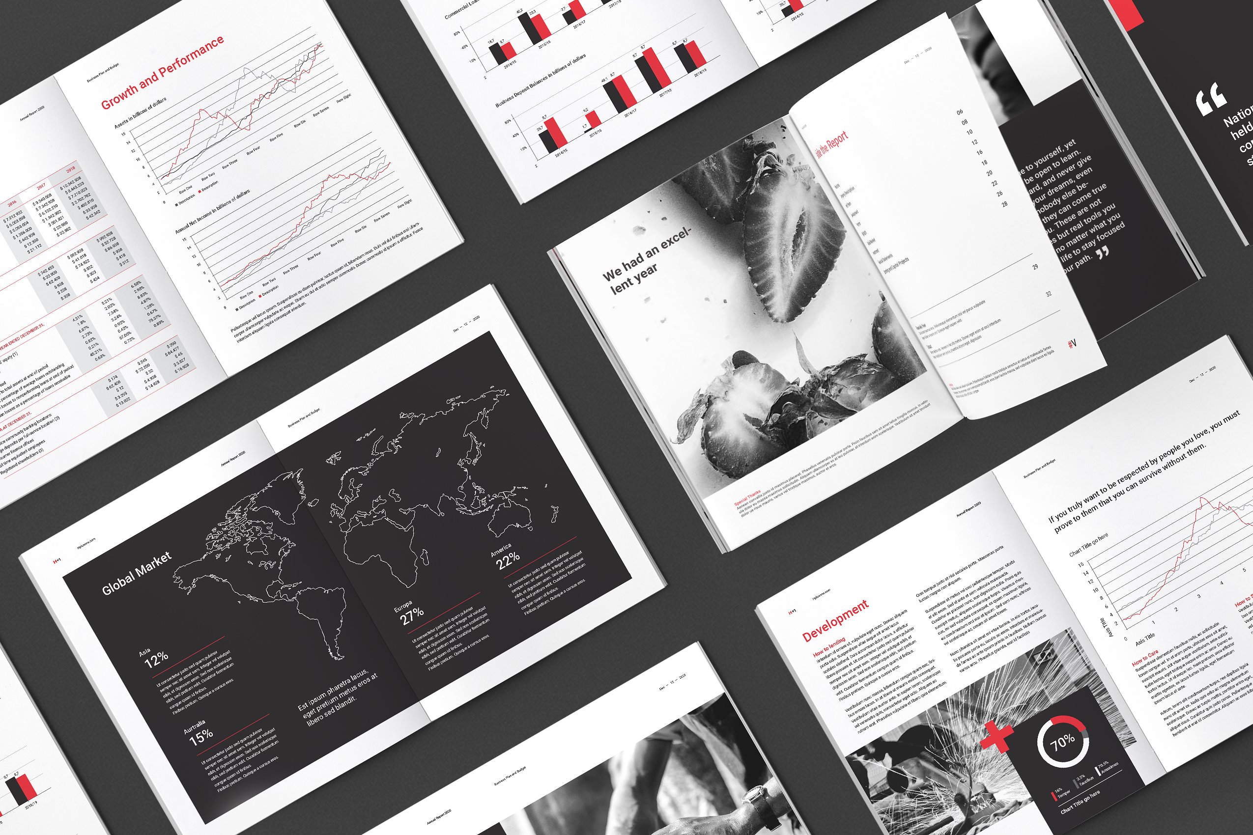 36页专业极简的年度总结杂志模板下载 Annual Reports [indd]插图(13)