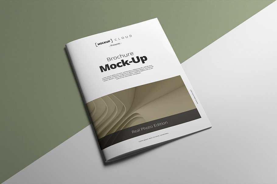 A4规格小册子说明书样机模板 Brochure Mock-Up / A4 Portrait插图(2)