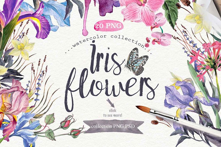 DIY水彩鸢尾花卉插画v1 Watercolor DIY "IRIS" vol.1插图(1)