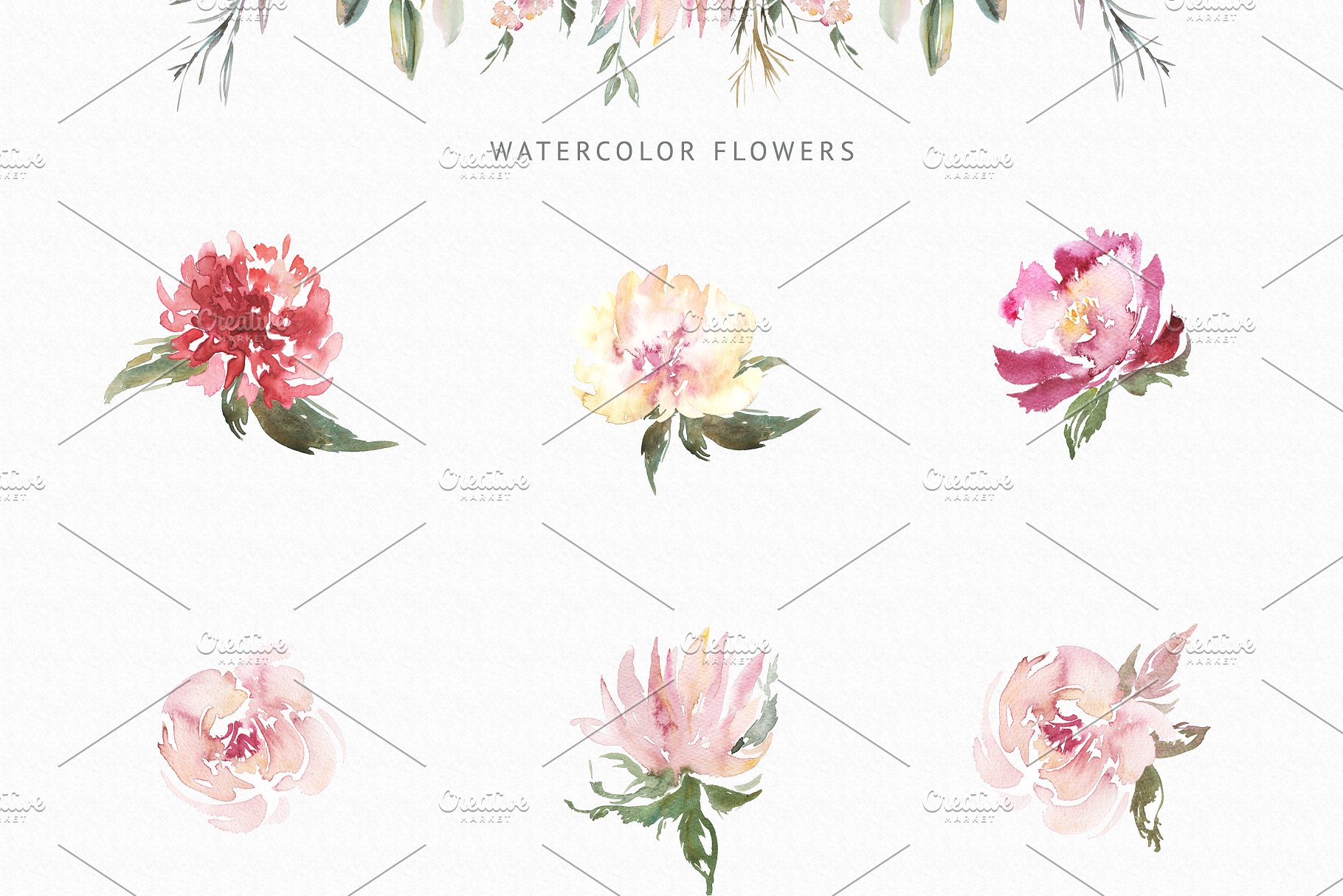 春天优雅花卉元素手绘素材合集 Spring Lush Flowers插图(4)