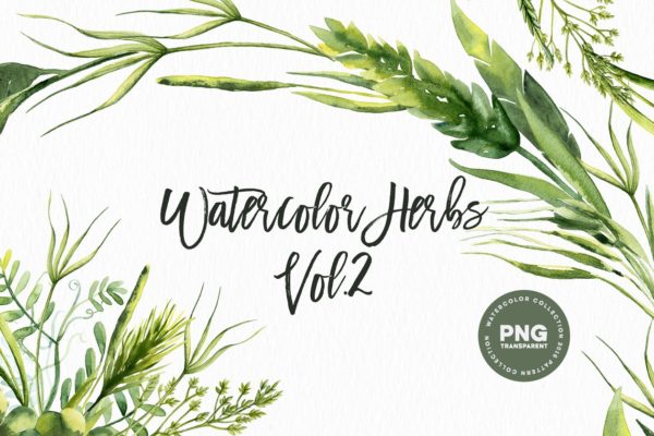 草本药草水彩插画素材 Watercolor Herbs Vol.2