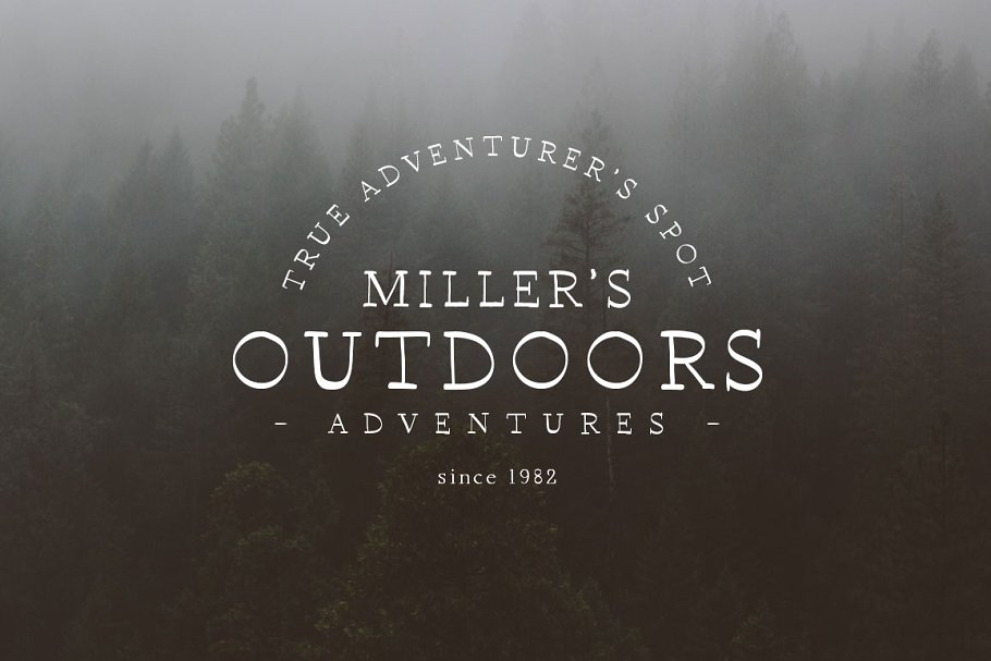 13款手写英文字体合集&Logo模板、矢量插画 Wonderland Fonts Pack & Branding Kit插图(110)