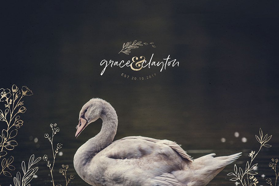 乡土气息植物、手绘字体&花卉字体 Botanical Illustrations & Monograms插图(12)