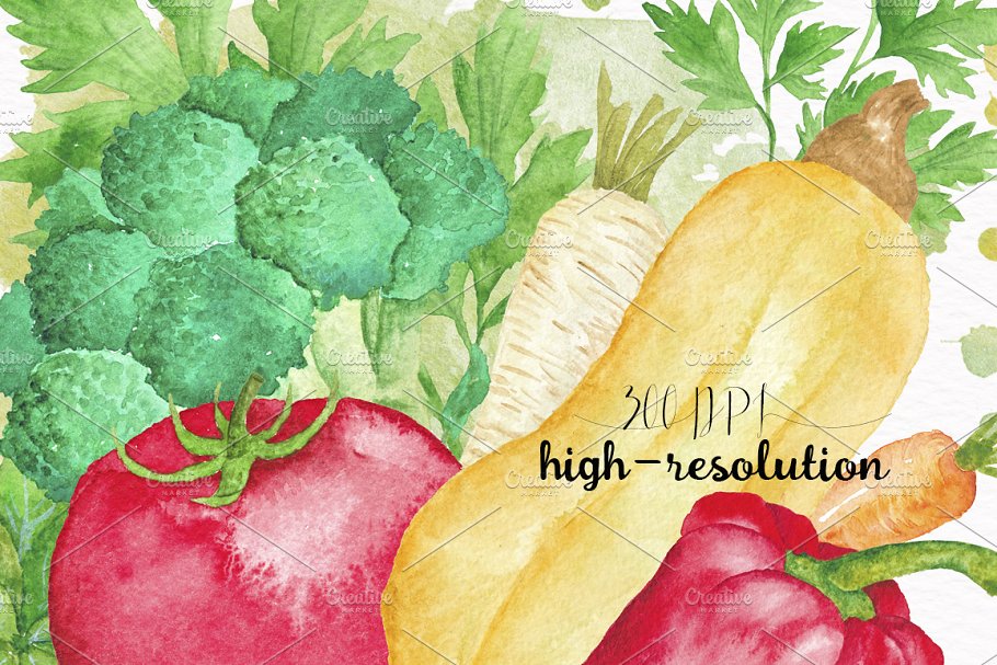 水彩蔬菜插画合集 Vegetable Watercolor Collection插图(1)
