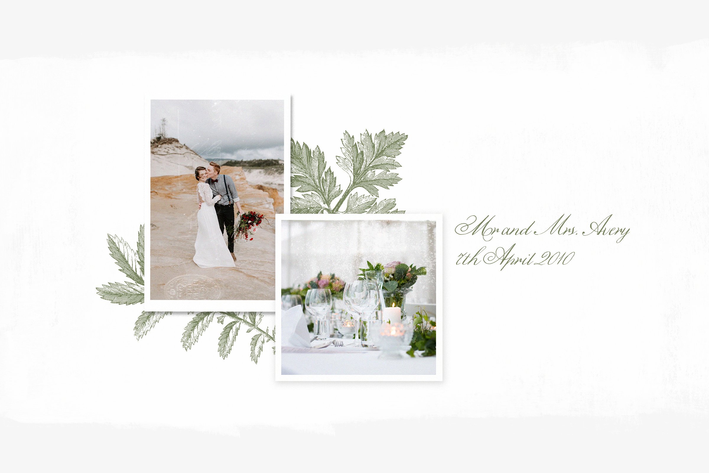 147种古董书籍植物插画素材合集 147 Botanical Illustrations Pack插图(2)