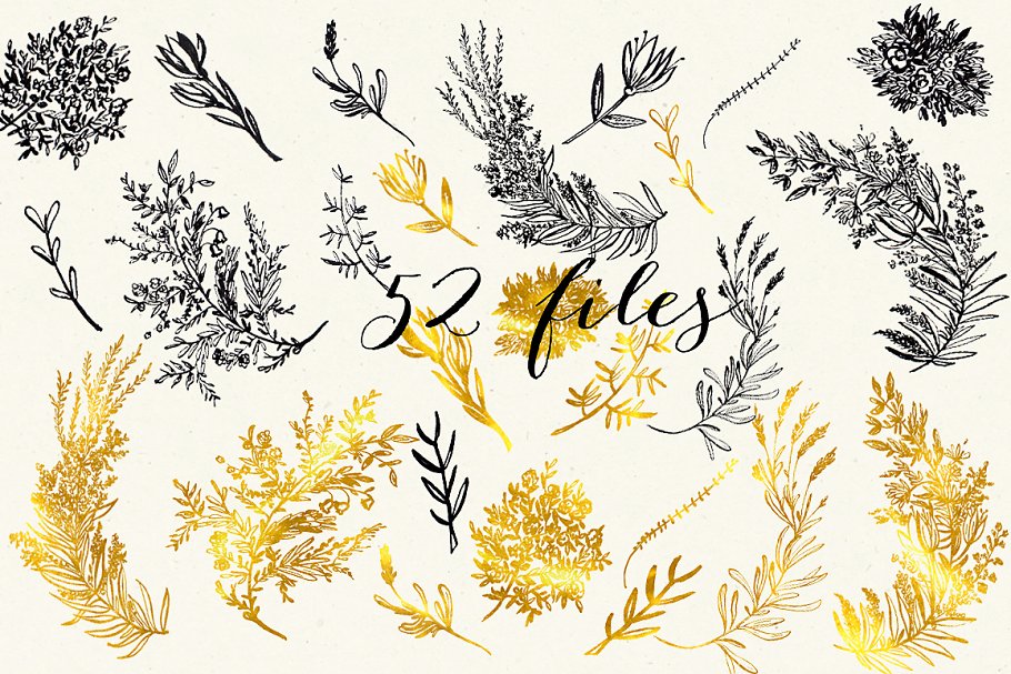 植物书法油墨剪贴画 Calligraphy ink clipart. Florygraphy插图