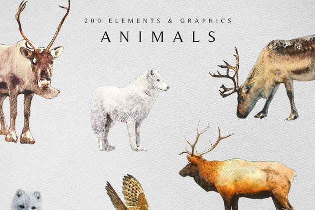 圣诞冬季仙境主题设计师工具包 Winter Wonderland Designer Toolkit插图(8)