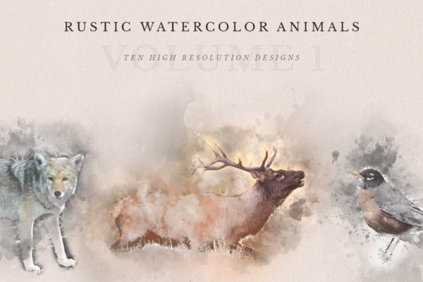 质朴的动物水彩手绘插图Vol.1 Rustic Watercolor Animals – Volume 1