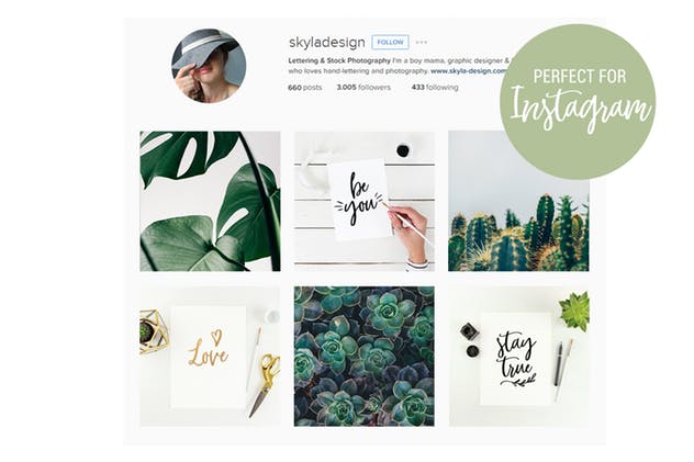 女性艺术风格Instagram引语贴图样机模板 Feminine artist styled Instagram mockups插图(3)