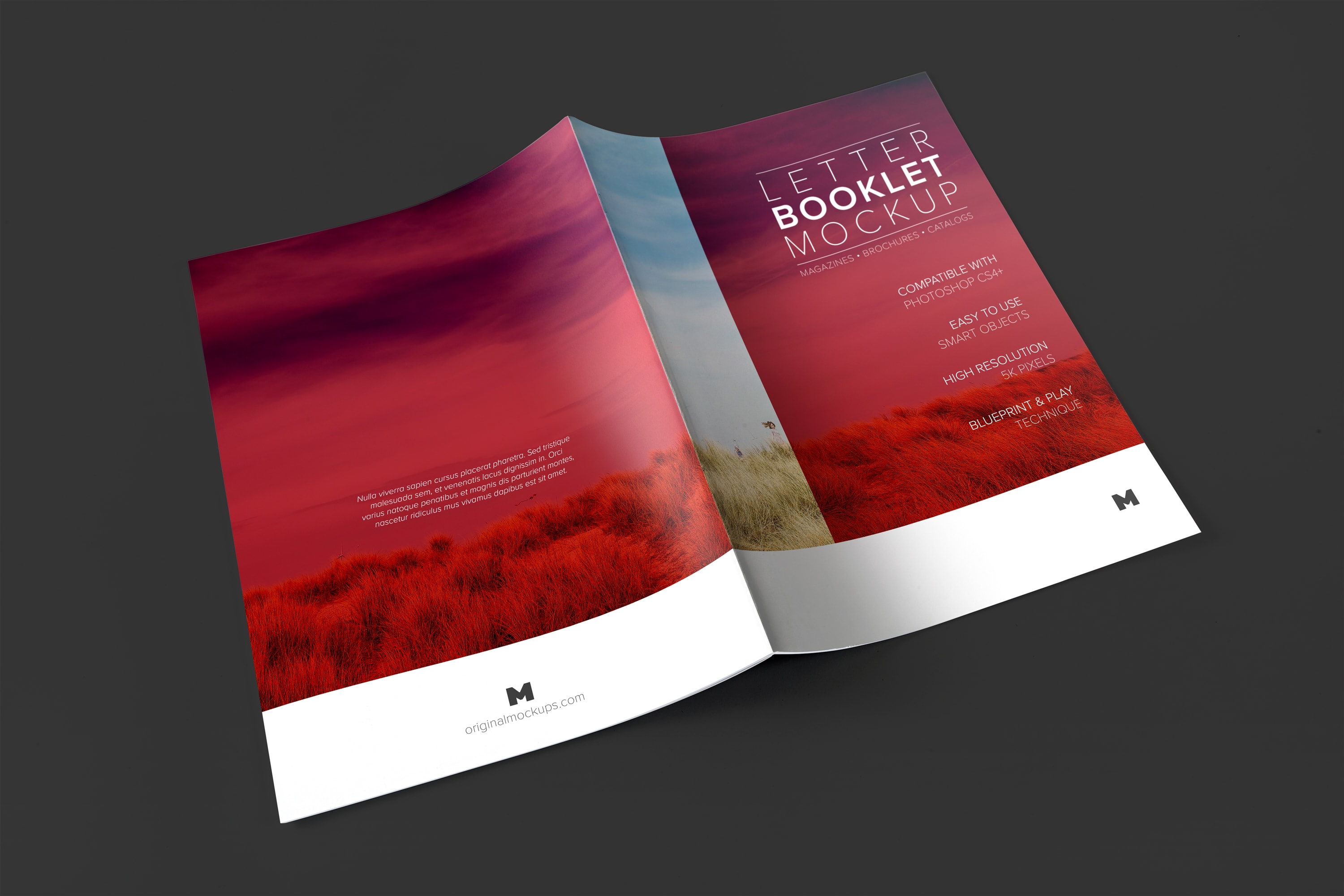 信纸小册子封面封面印刷效果预览样机01 Letter Booklet Spreads Covers Mockup 01插图(1)