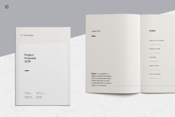 简约时尚设计风格招标书/投资商业计划书设计模板 Proposal