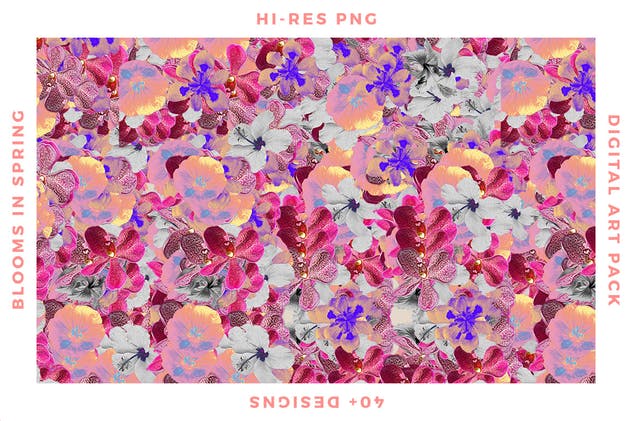 梦幻春天花卉图案纹理合集 Blooms in Spring插图(4)