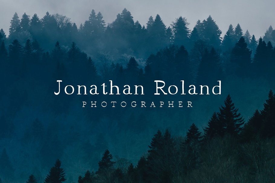 13款手写英文字体合集&Logo模板、矢量插画 Wonderland Fonts Pack & Branding Kit插图(112)